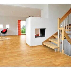 Haya Nobelle (D1424)