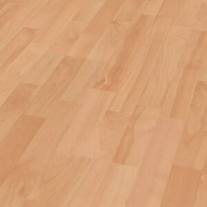 Ahorn Nature ( 3098)